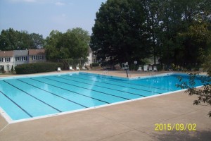 Pool Photo 1