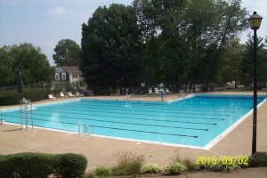 Pool Photo 2