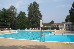 Pool Photo 3